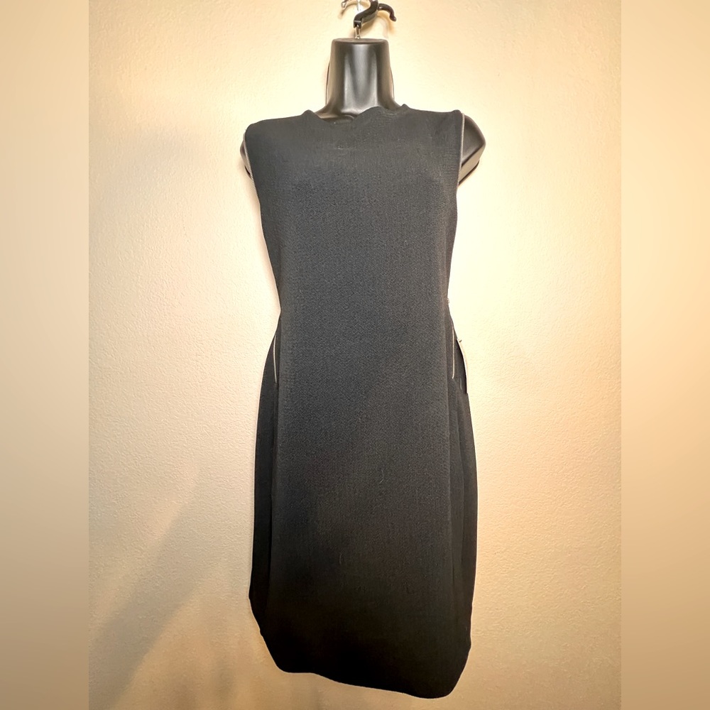 NWT Express dress